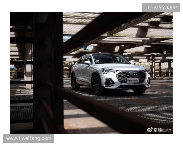 奥迪女子滑雪世界杯（奥迪滑雪跳台）sports